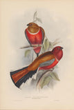Bird 4 all images