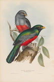 Bird 4 all images